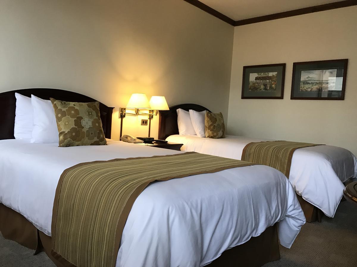 Socialtel Quito Hotel Екстериор снимка