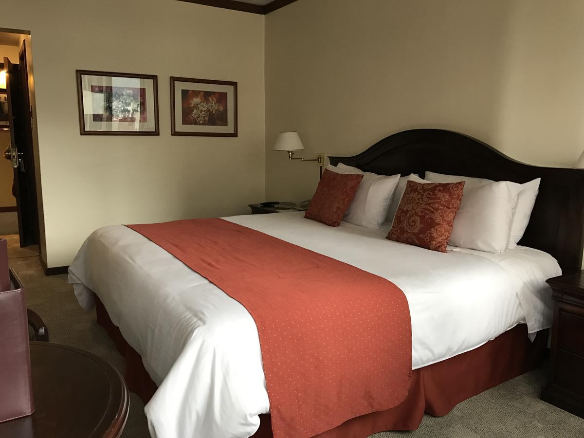 Socialtel Quito Hotel Екстериор снимка