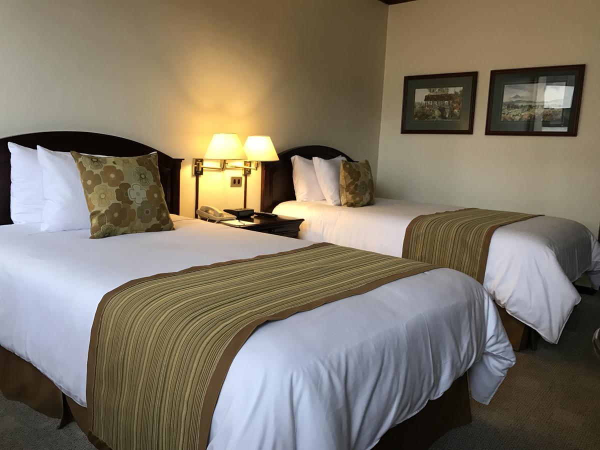 Socialtel Quito Hotel Екстериор снимка